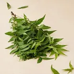 NEEM PATA