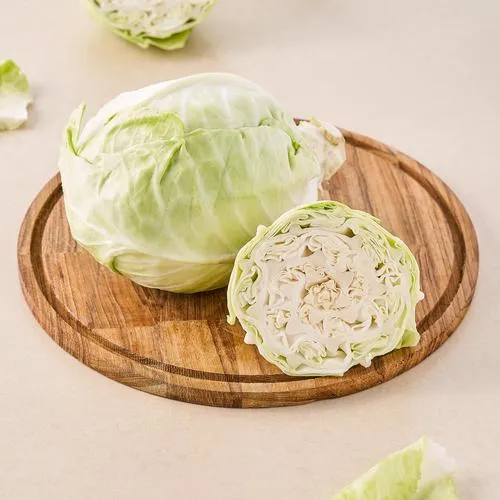 Cabbage/ Bandacopi