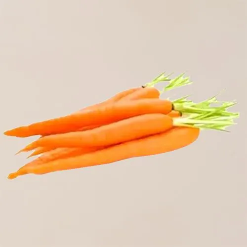 Carrot/Gajar